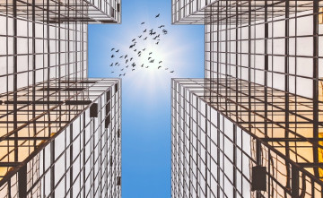 O vytesnen� Bo�ieho sveta