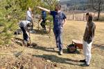 Ukrajinskí chlapci si už počas prvých týždňov v komunite Dominika Savia v Žiline užili výlet na chatu spojený so sadením stromčekov. Snímka: archív Saleziánov dona Bosca