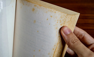 Tvorbu plesn� na knih�ch podnecuje prach