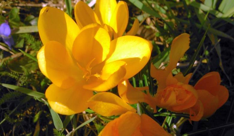 Šťastie nehľadajme, ale konajme Šťastie nehľadajme, ale konajme