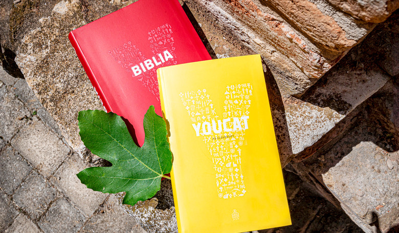 Youcat – katechizmus, ktorý hovorí jazykom mladých Youcat – katechizmus, ktorý hovorí jazykom mladých