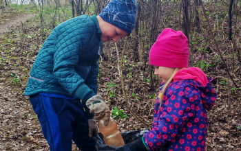 Pomoc prírode Pomoc prírode