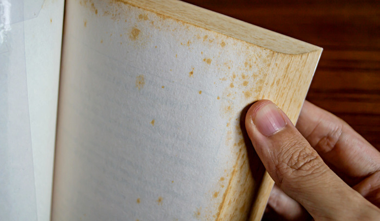 Tvorbu plesn� na knih�ch podnecuje prach