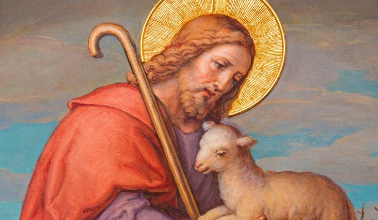Dobrý pastier položí život za ovce
