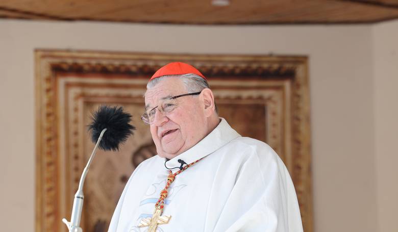 esk biskupi zasadali, kardinl Duka slvil