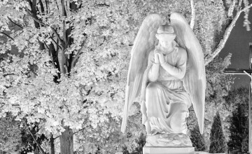 Verím, dúfam, milujem Verím, dúfam, milujem