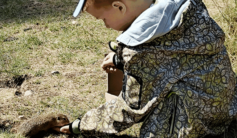 Vlety, ktor zaujm aj malch dudroov