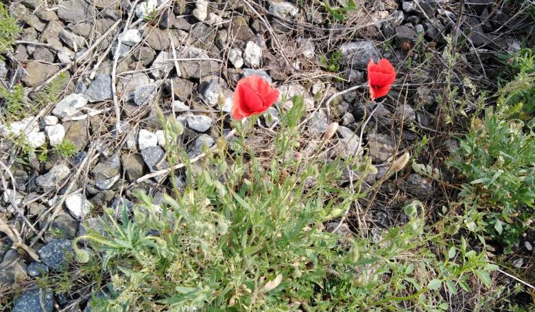 Dať si mediálnu diétu nezaškodí Dať si mediálnu diétu nezaškodí