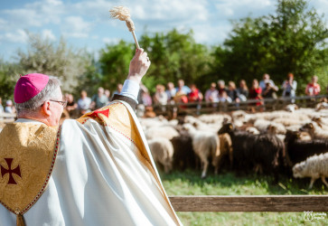 10. mája sa uskutočnilo stretnutie ovčiarov v Spišskej Kapitule. Biskup Ján Kuboš slúžil svätú omšu obetovanú za pastierov a následne požehnal ovčie stádo. Snímka: Jana Gulík Horváthová