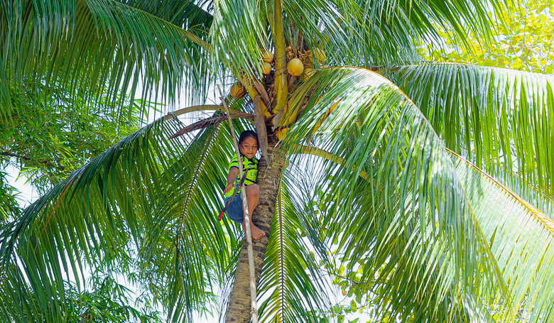 Internát v amazonskom pralese Internát v amazonskom pralese