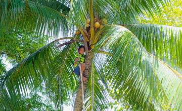 Intern�t v amazonskom pralese