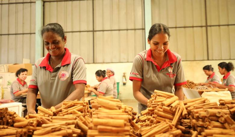Pravá škorica rastie iba na Srí Lanke, ale prevoniava celý svet Pravá škorica rastie iba na Srí Lanke, ale prevoniava celý svet