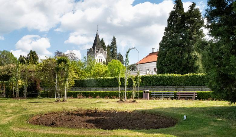 Stle zelen arbortum znovu lka