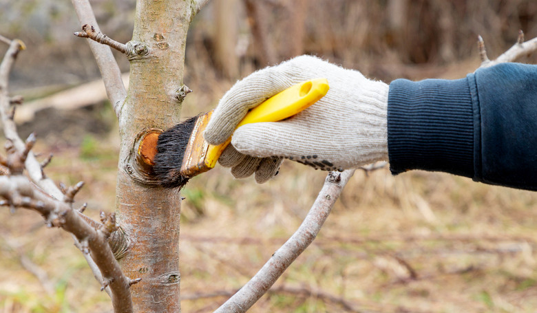 Nespr�vny rez m��e �rodu zn�i� i oddiali�