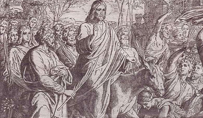 Na osliatku do neba Na osliatku do neba