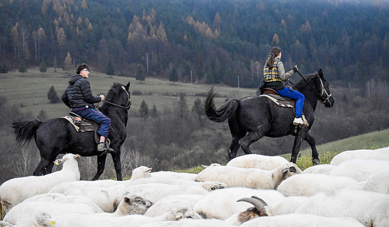 K ove�k�m treba z�js� aj na �tedr� de� - fotogal�ria