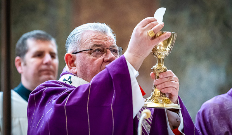 Kardinl Dominik Duka u odpova v pokoji