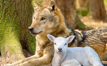 Ten, čo príde, bude krstiť ohňom Ten, čo príde, bude krstiť ohňom