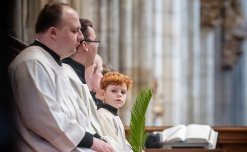 Pravda Palmovej nedele Pravda Palmovej nedele