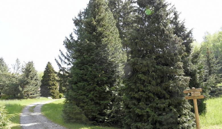 Chceme všetko a hneď Chceme všetko a hneď