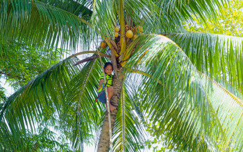 Intern�t v amazonskom pralese